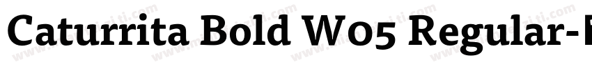 Caturrita Bold W05 Regular字体转换